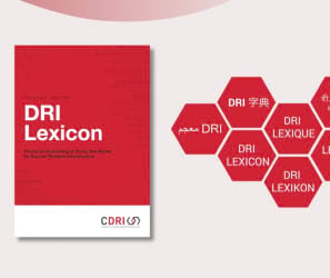 Cdri Video Dri Lexicon (297 250) –