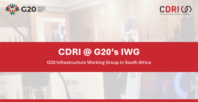 CDRIatG20