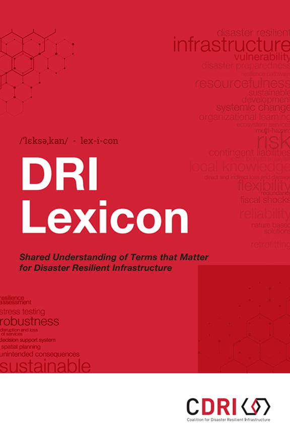 Dri Lexicon Mobile Banner –