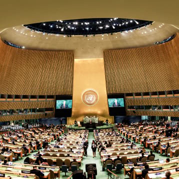 Engagement With Global And Regional Platforms To Advance The Agenda Of Dri Project –